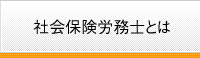 社会保険労務士とは